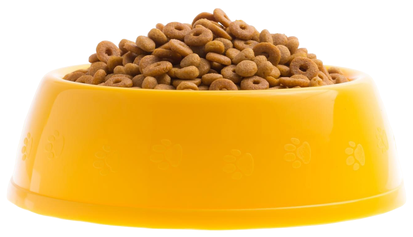 Корма для животных